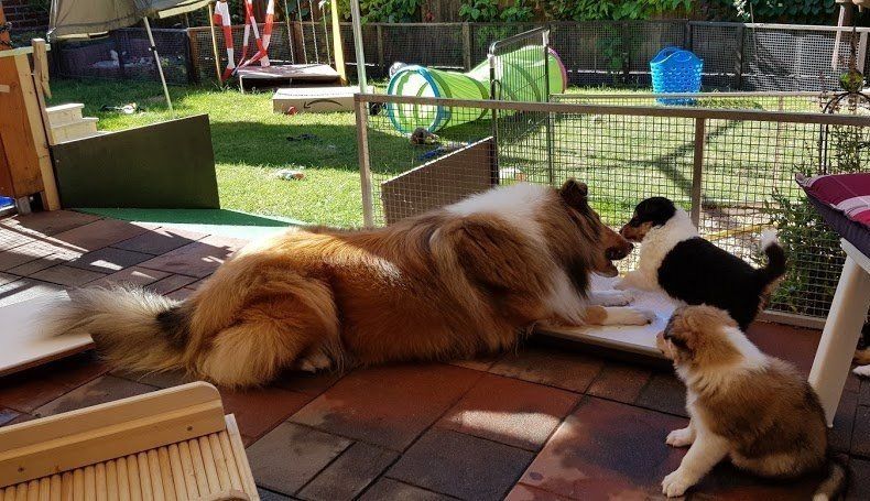 Mama spielt mit