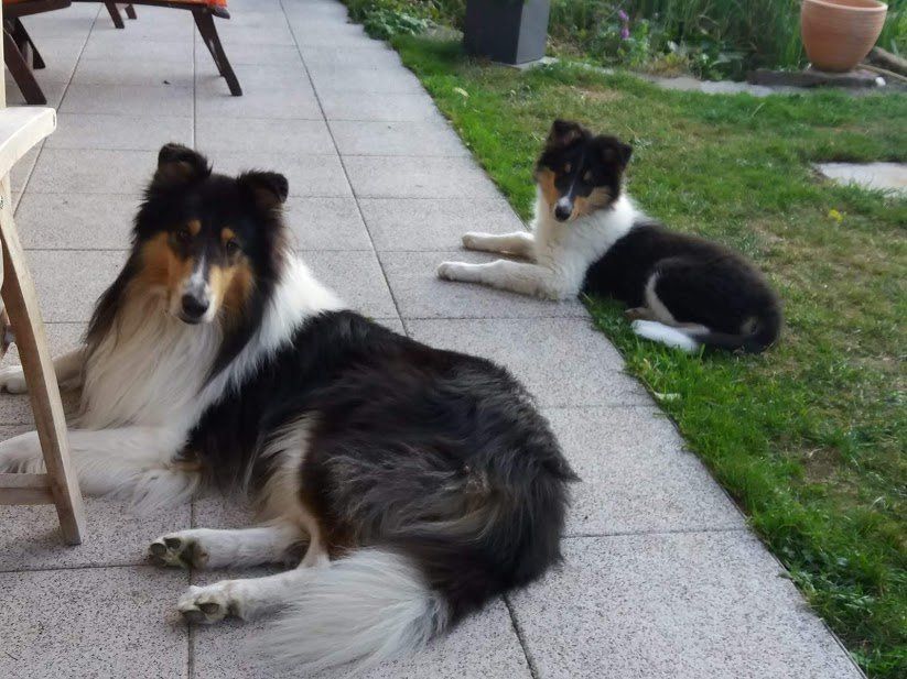 Konrad mit Bruder