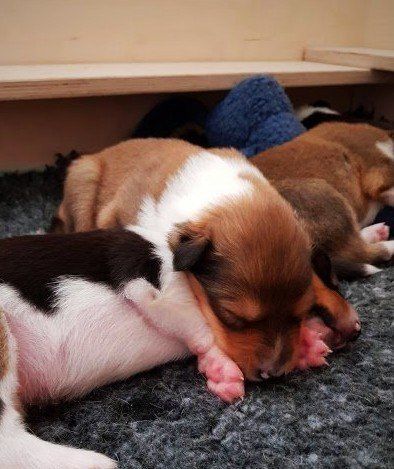 Kuschelzeit