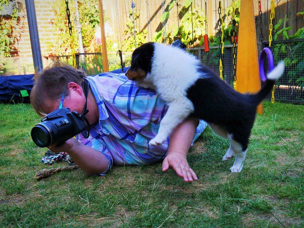 Hallo! Was machst DU da?