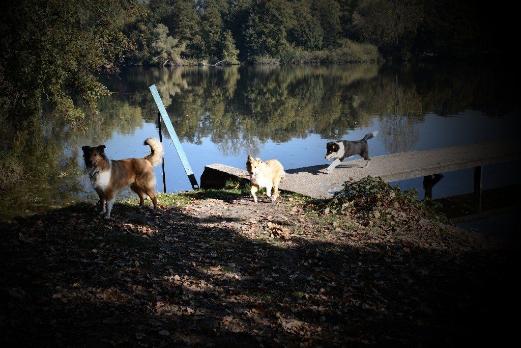 am See