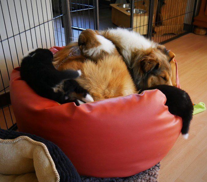 Platz ist in der kleinsten Hütte