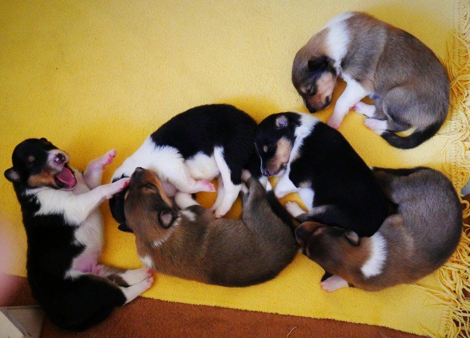Gruppenbild