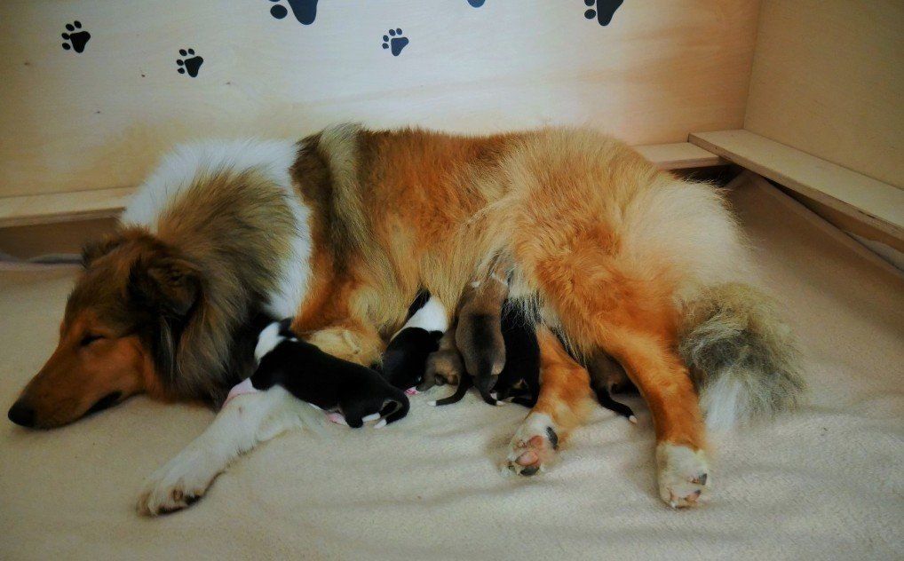 jetzt wird geschlafen