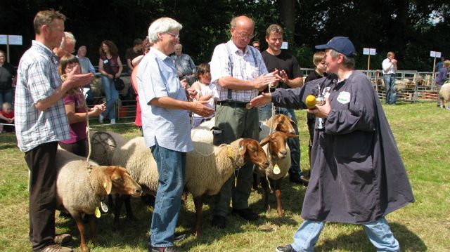 Tierschau Jaderberg 2012, Schafschau Nord