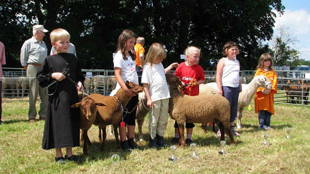 Tierschau Jaderberg 2012, Jungzüchter Schafe
