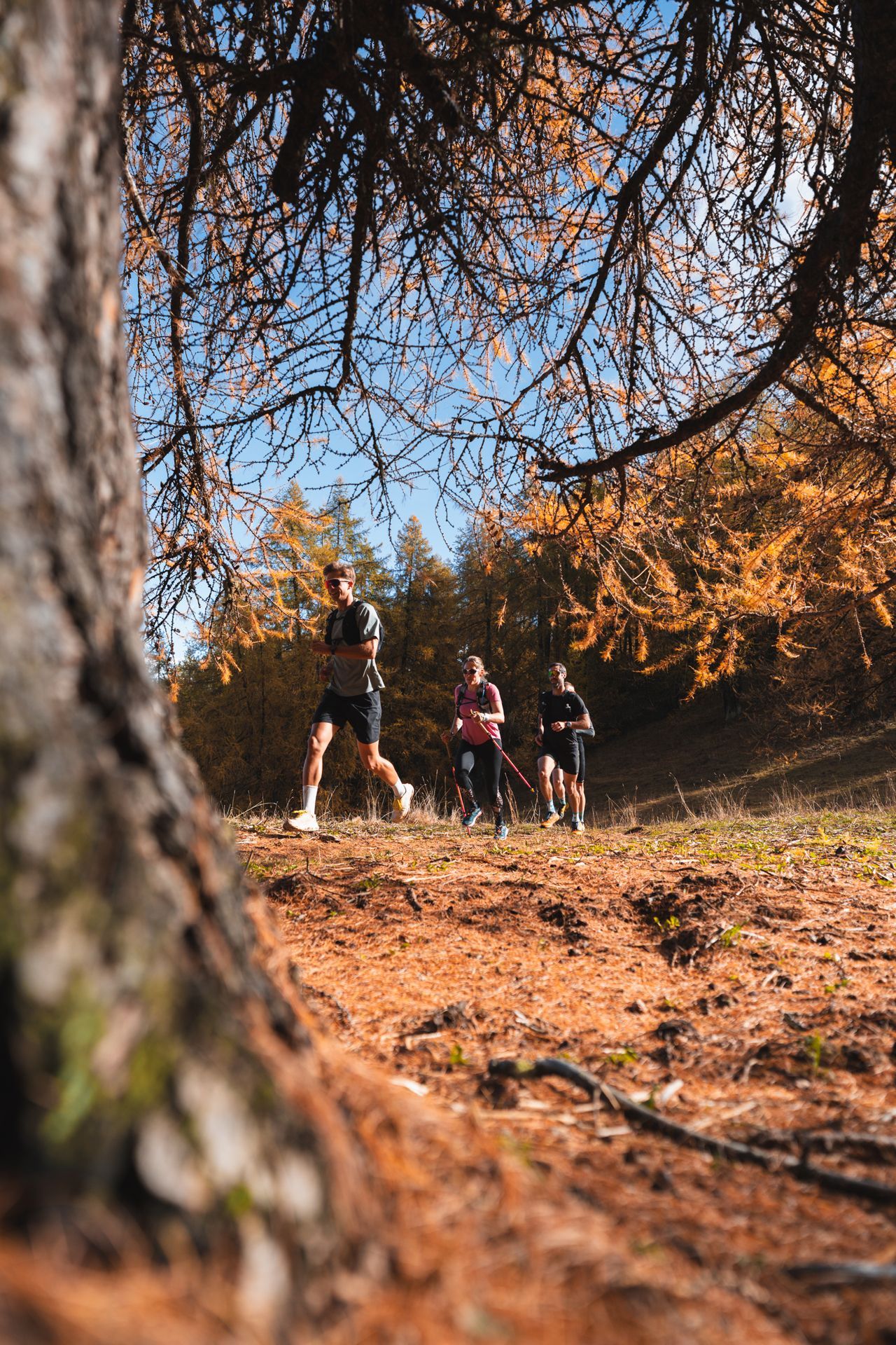 Wild Trail Reallon 2