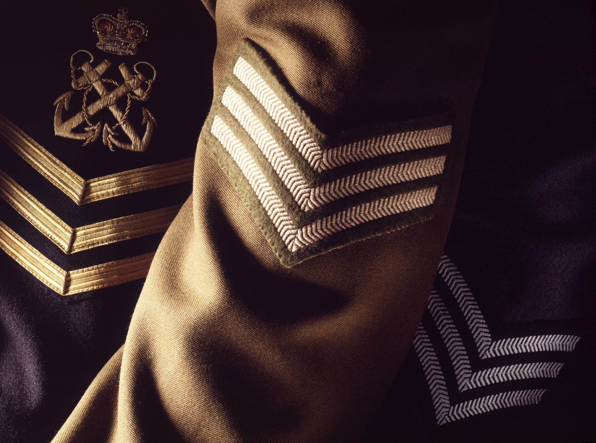 Copyright - Moggy Photographer