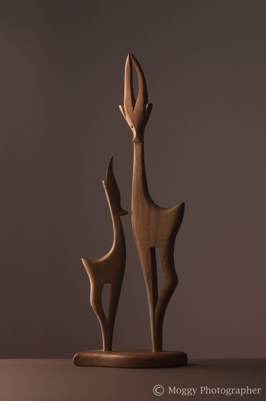 Copyright of Moggy Photographer