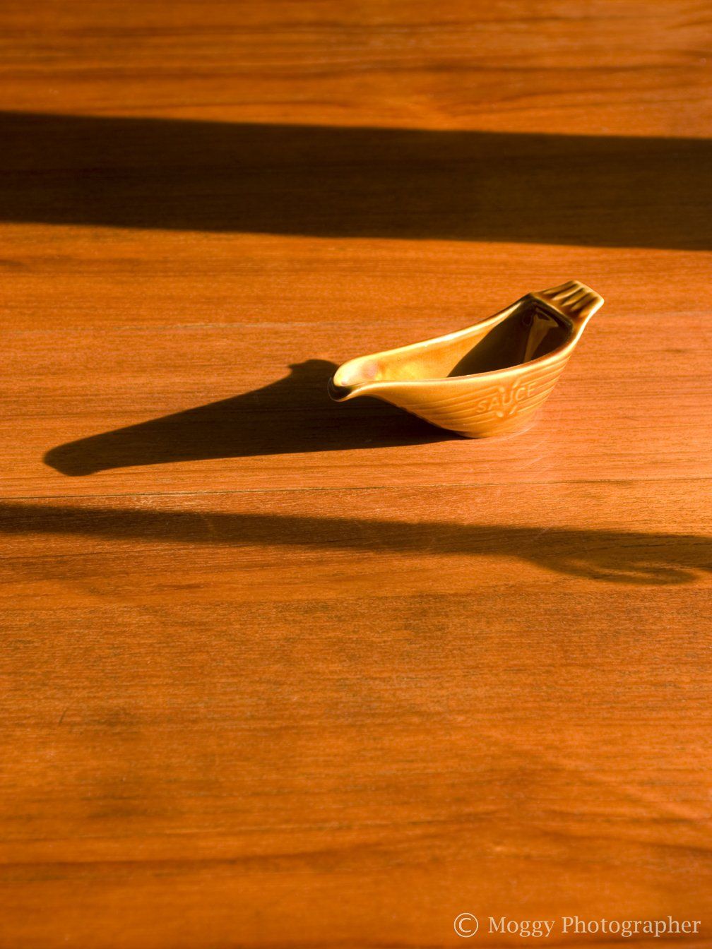 Copyright of Moggy Photographer