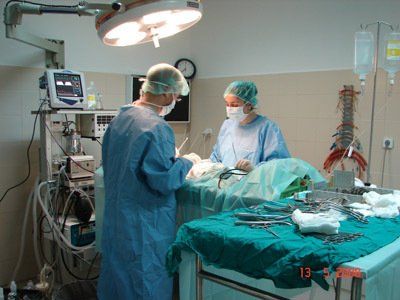 Veterinarios Especialistas