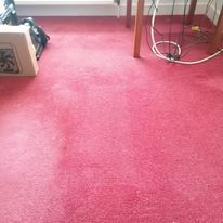 Fixed carpet Edinburgh