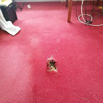 torn carpet Edinburgh