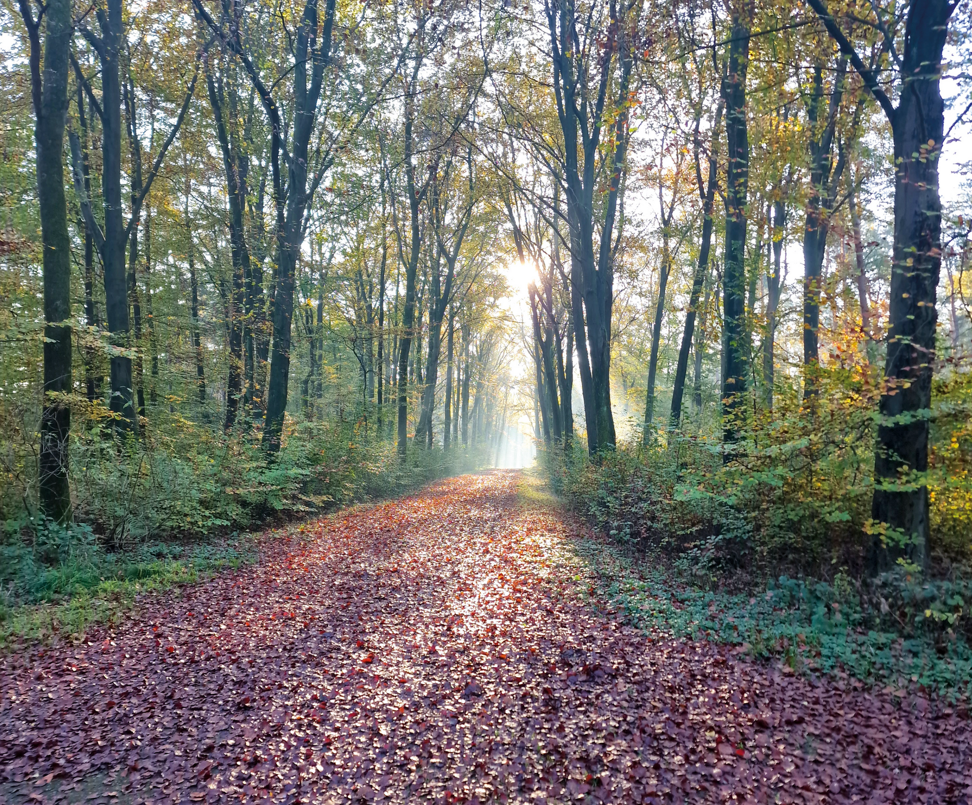 Gemeinsam unterwegs – im Gespräch, im Schweigen, im Erinnern
