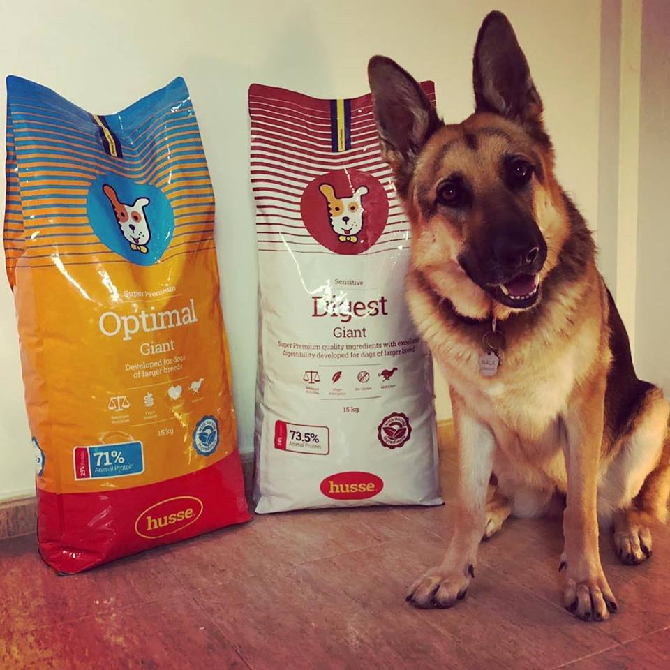 Pide tu muestra gratis de pienso Husse Muestras Gratis Pienso Husse