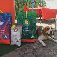 Variedad de piensos segun sexo, edad, estado fisiologico