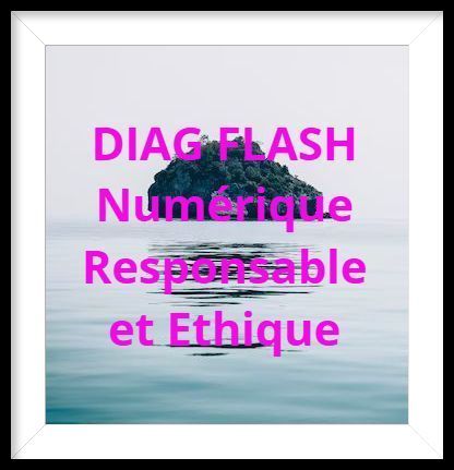 DIAG FLASH