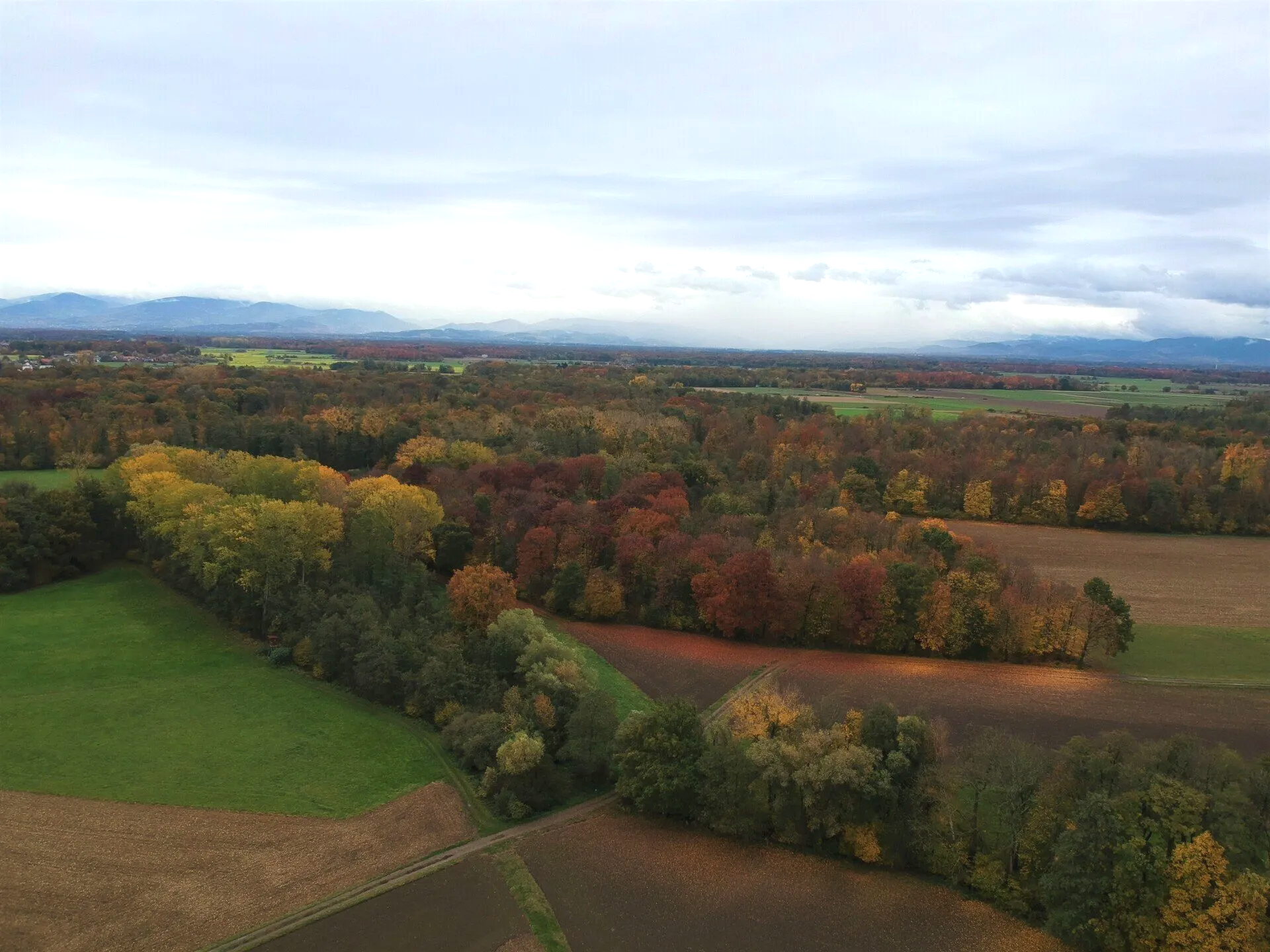 Wald Leutesheim Bodersweier Herbst
