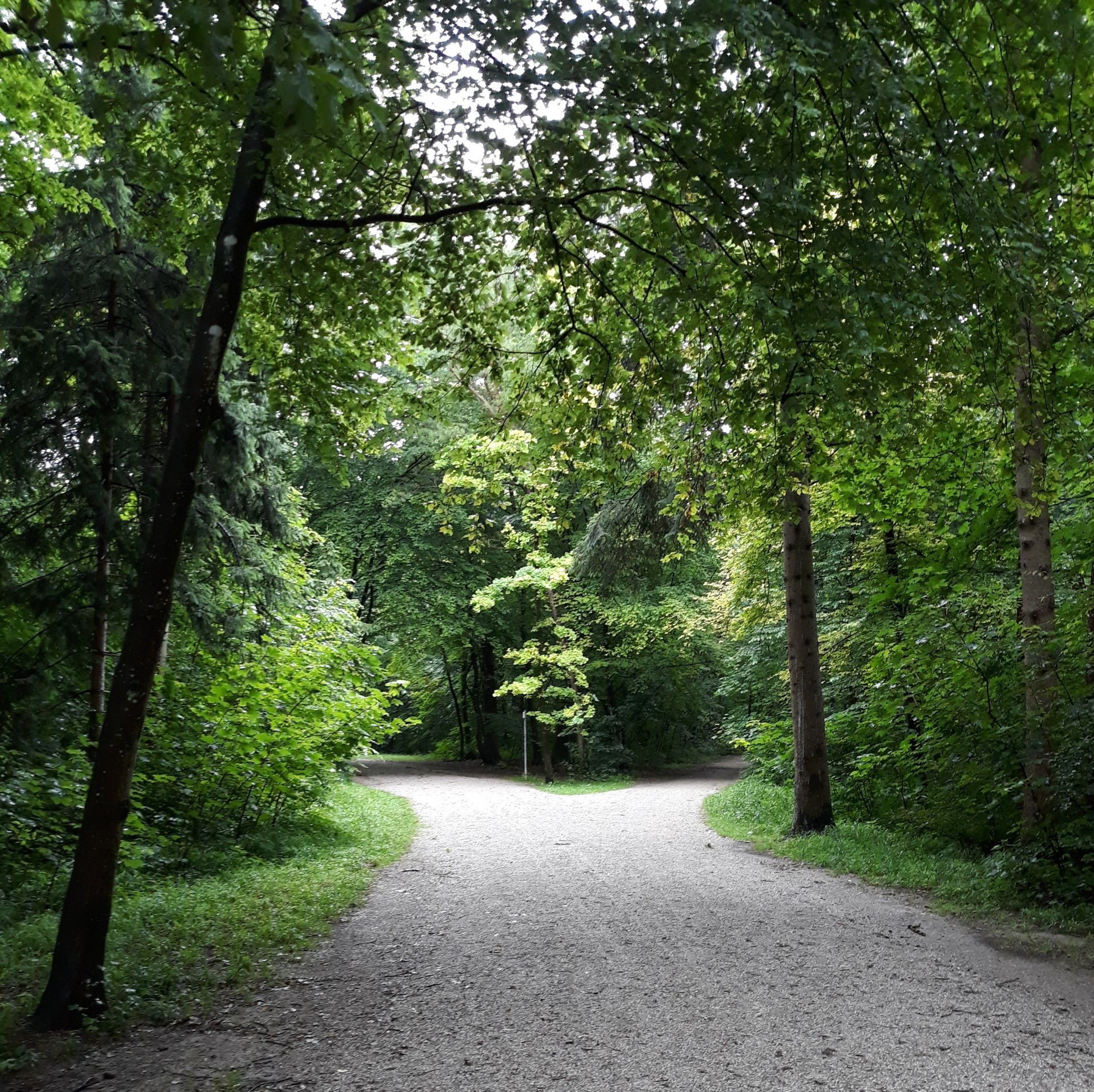 Hundebesuch, München