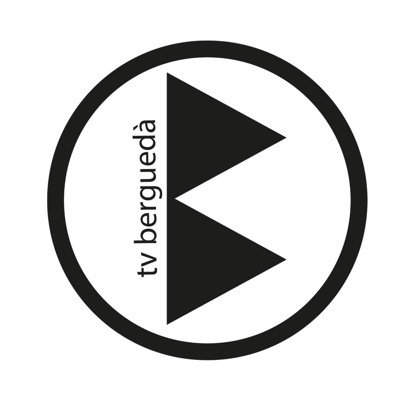 Logotip Institut d'Estudis Ilerdencs