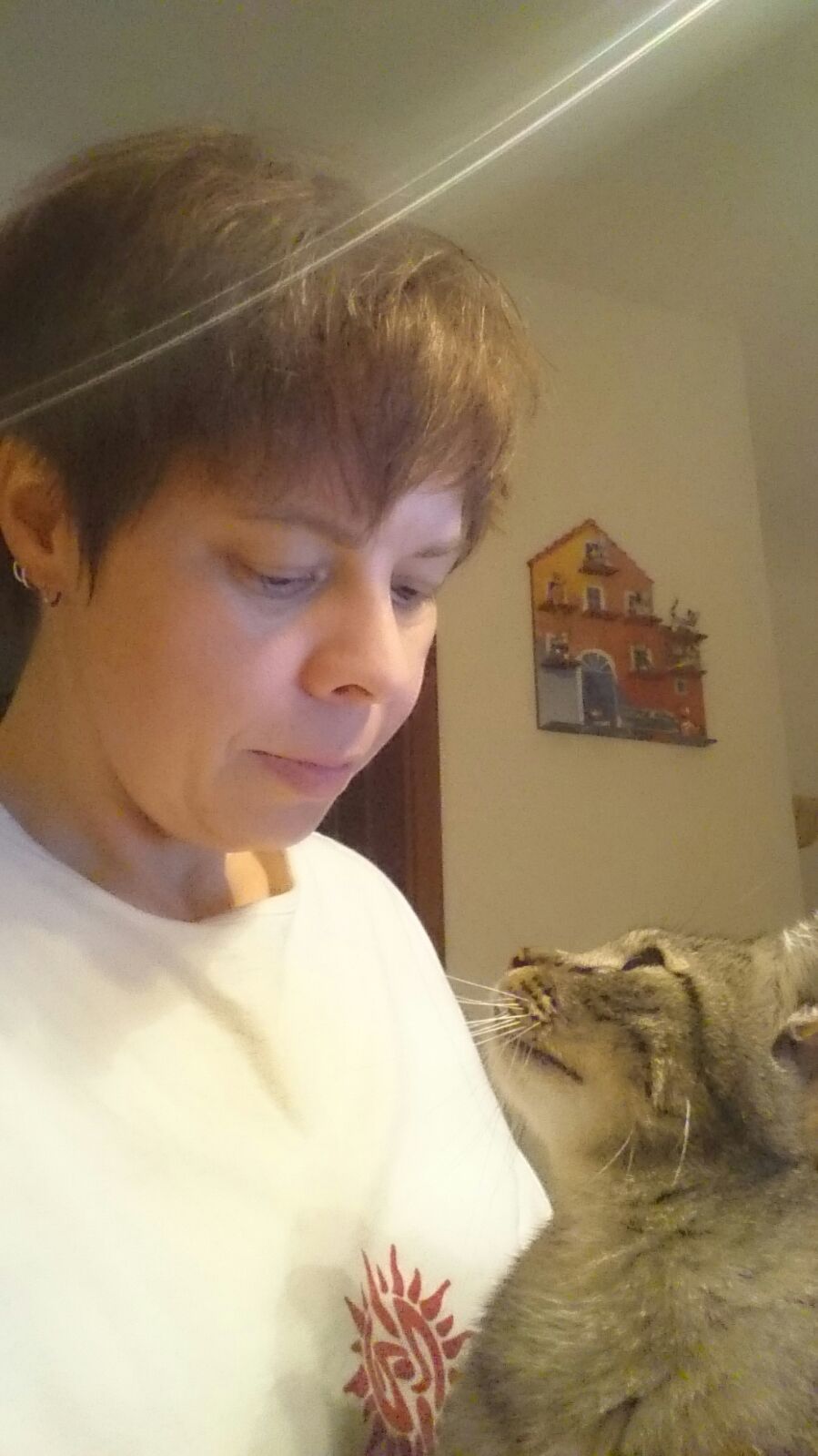 Mein Kater Villi, geb. 2003