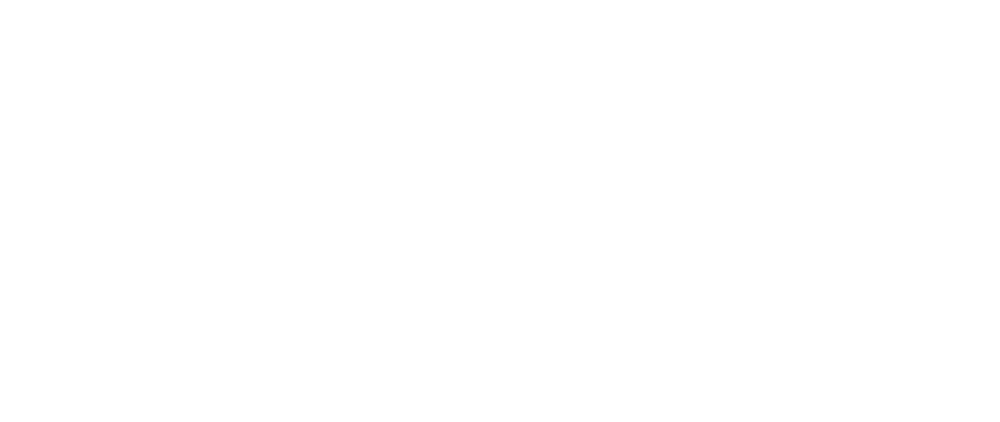 Logo Le Petit Ramoneur
