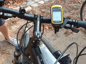 Teambuilding Fahrrad und Geocaching Spreewald