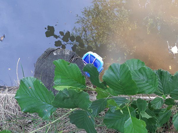 Geocaching Teamtraining Spreewald