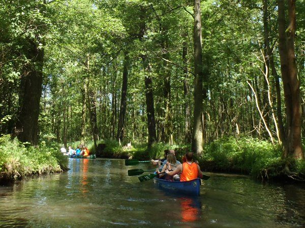 Teamausflug Kanu Geocaching Spreewald Berlin Brandenburg