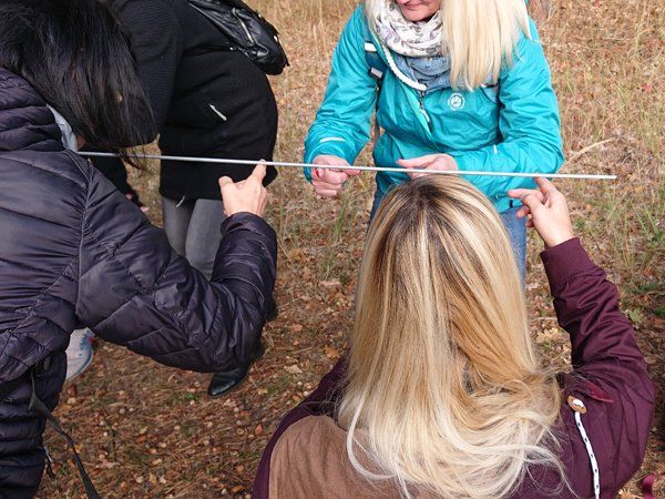 Teamentwicklung Teamwanderung Spreewald Berlin