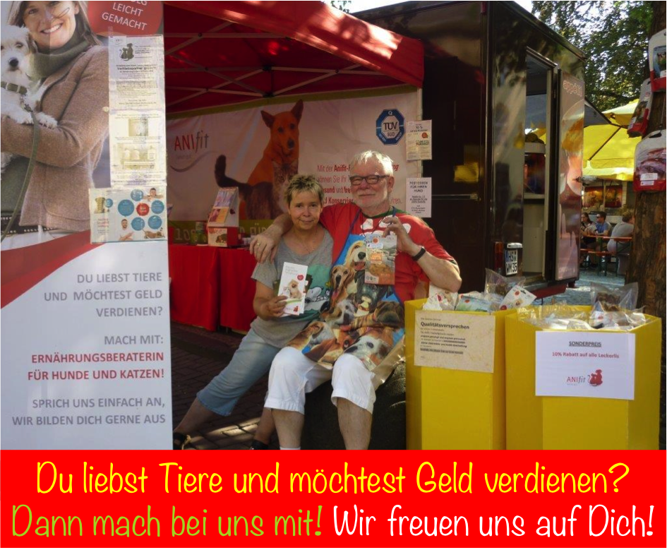 Geld verdienen, Nebenjob, Anifit