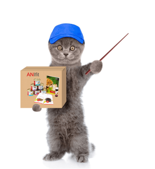 Anifit, Hundefutter, Katzenfutter, Shop, Wassenberg, Lorenz und Carola Zintl