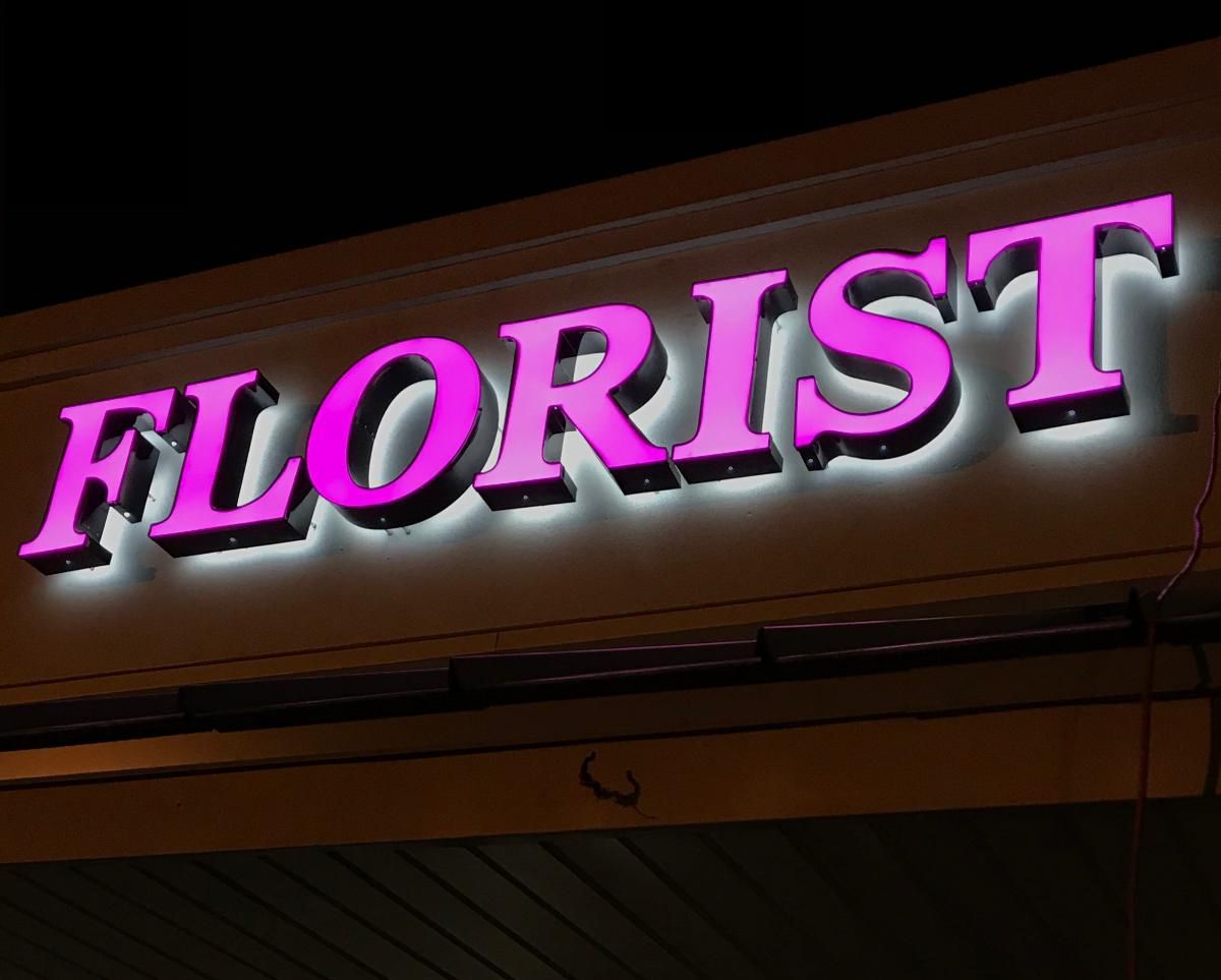 Front Lit Back Lit Channel Letter Sign