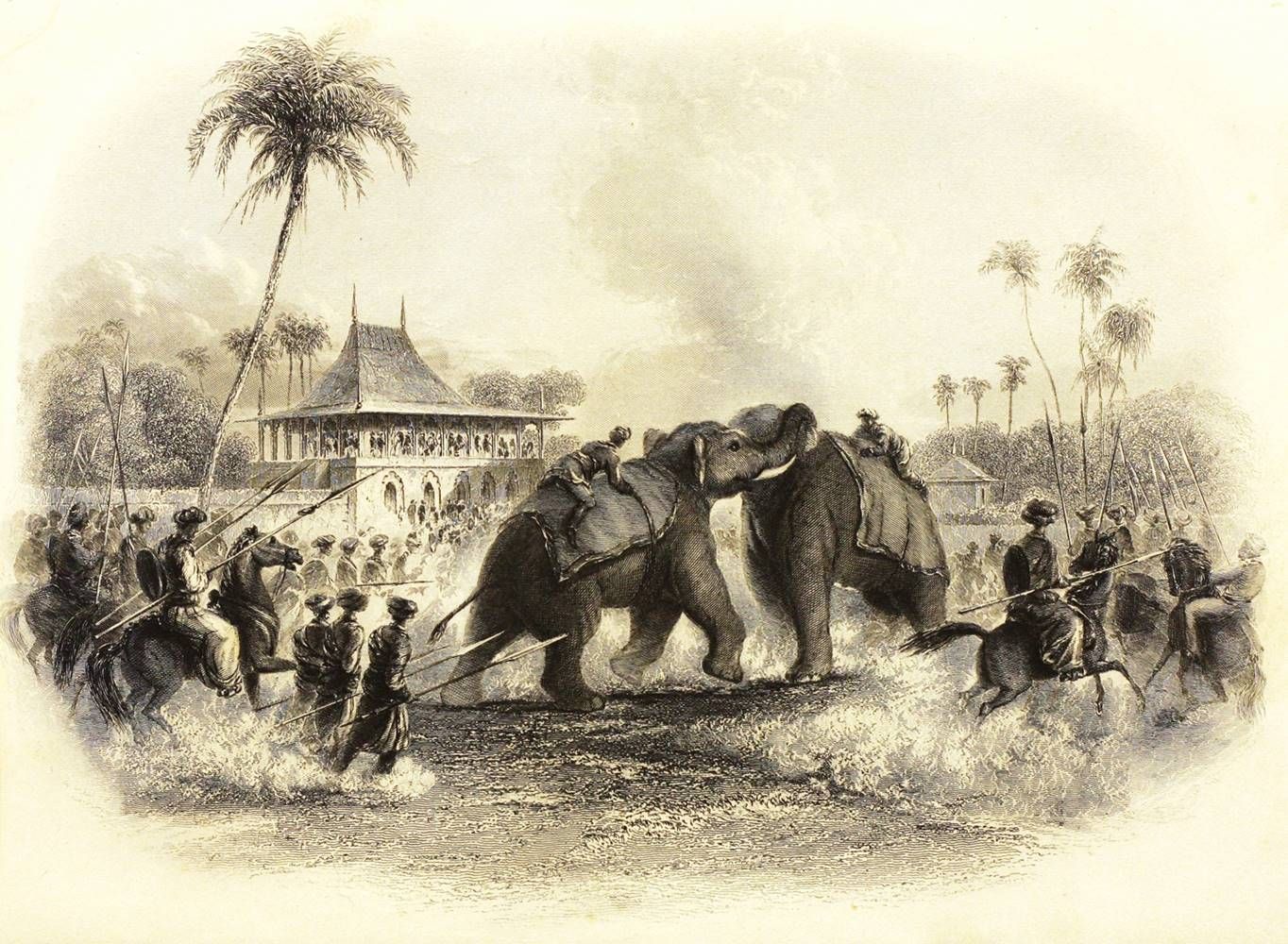 Escales Tango - La Compagnie des Indes