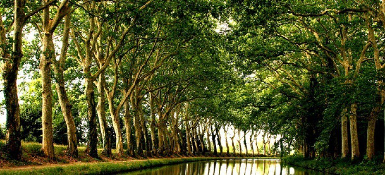 Le canal du midi