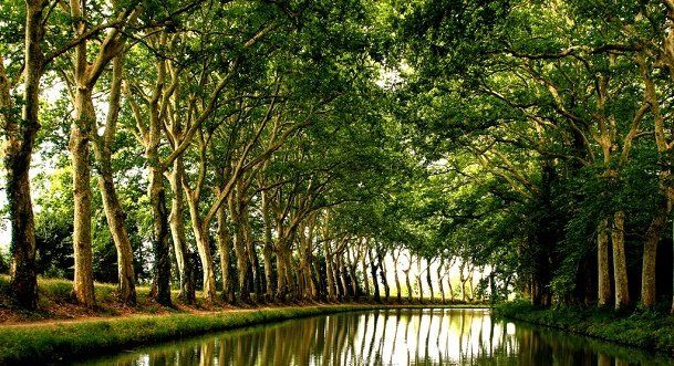 croisière sur le Canal du Midi