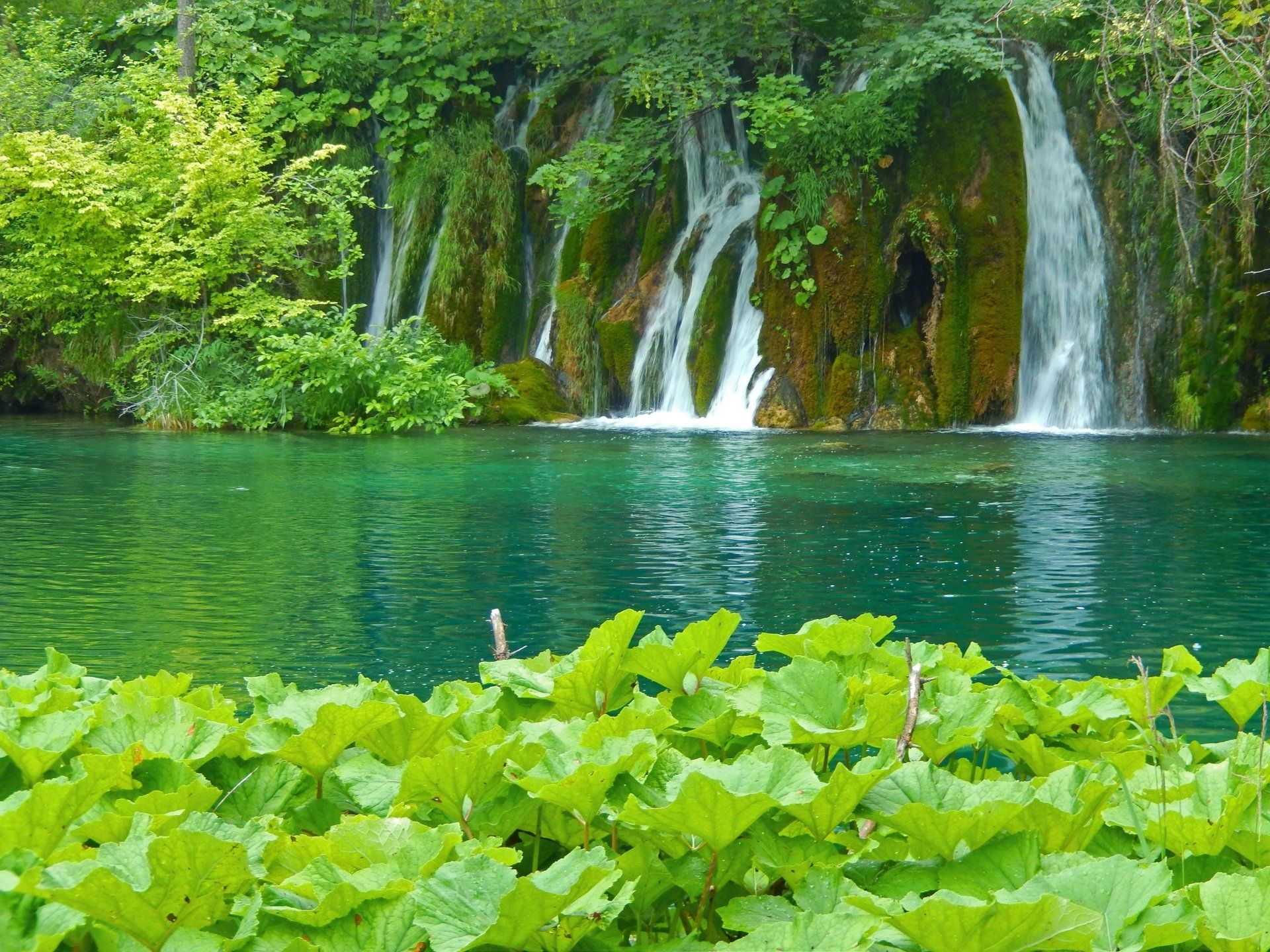 parc naturel de Krak en Croatie