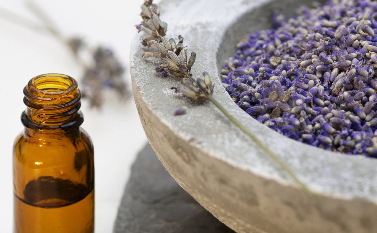 savoir-faire en Corse voyage