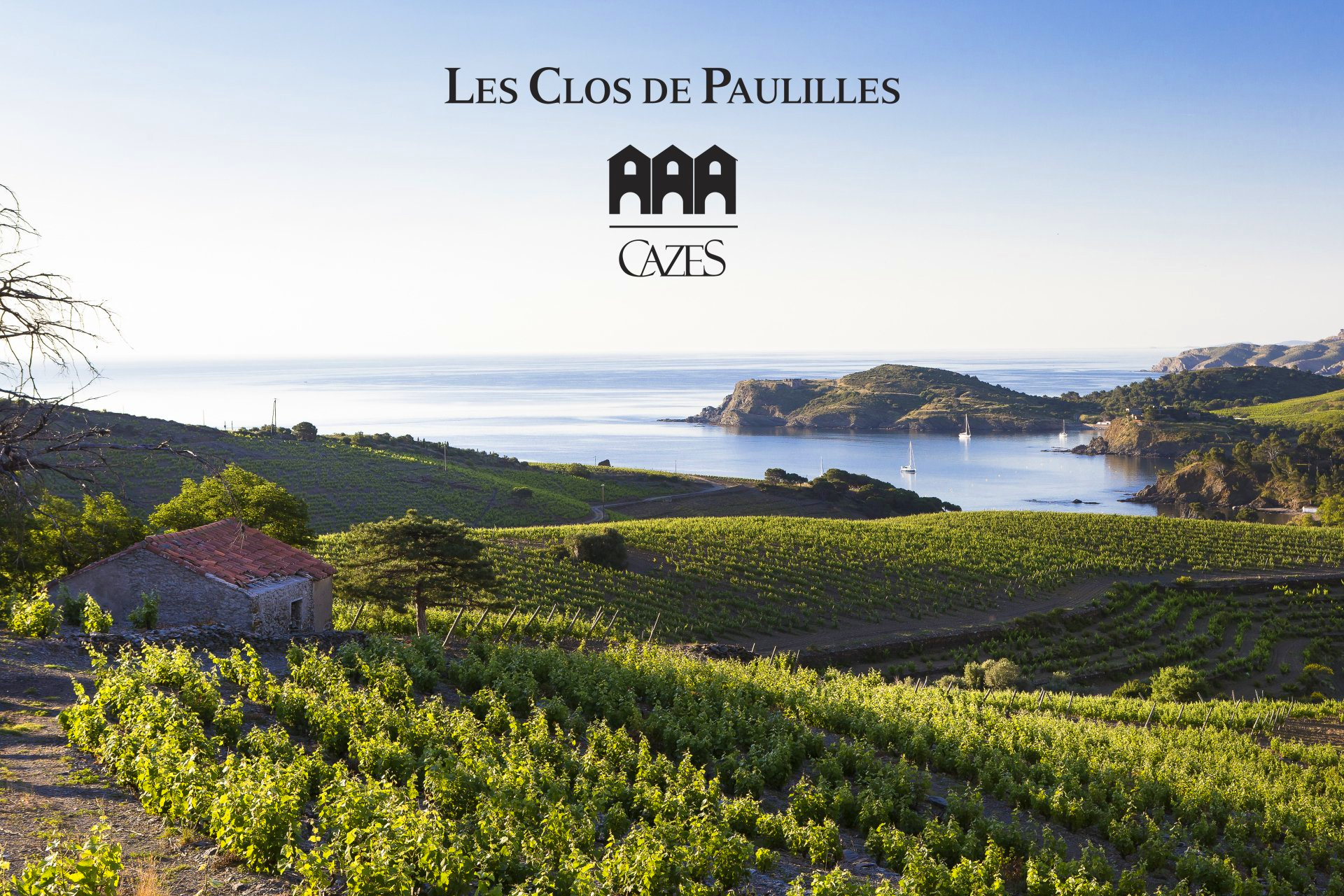 domaine clos de Paulilles