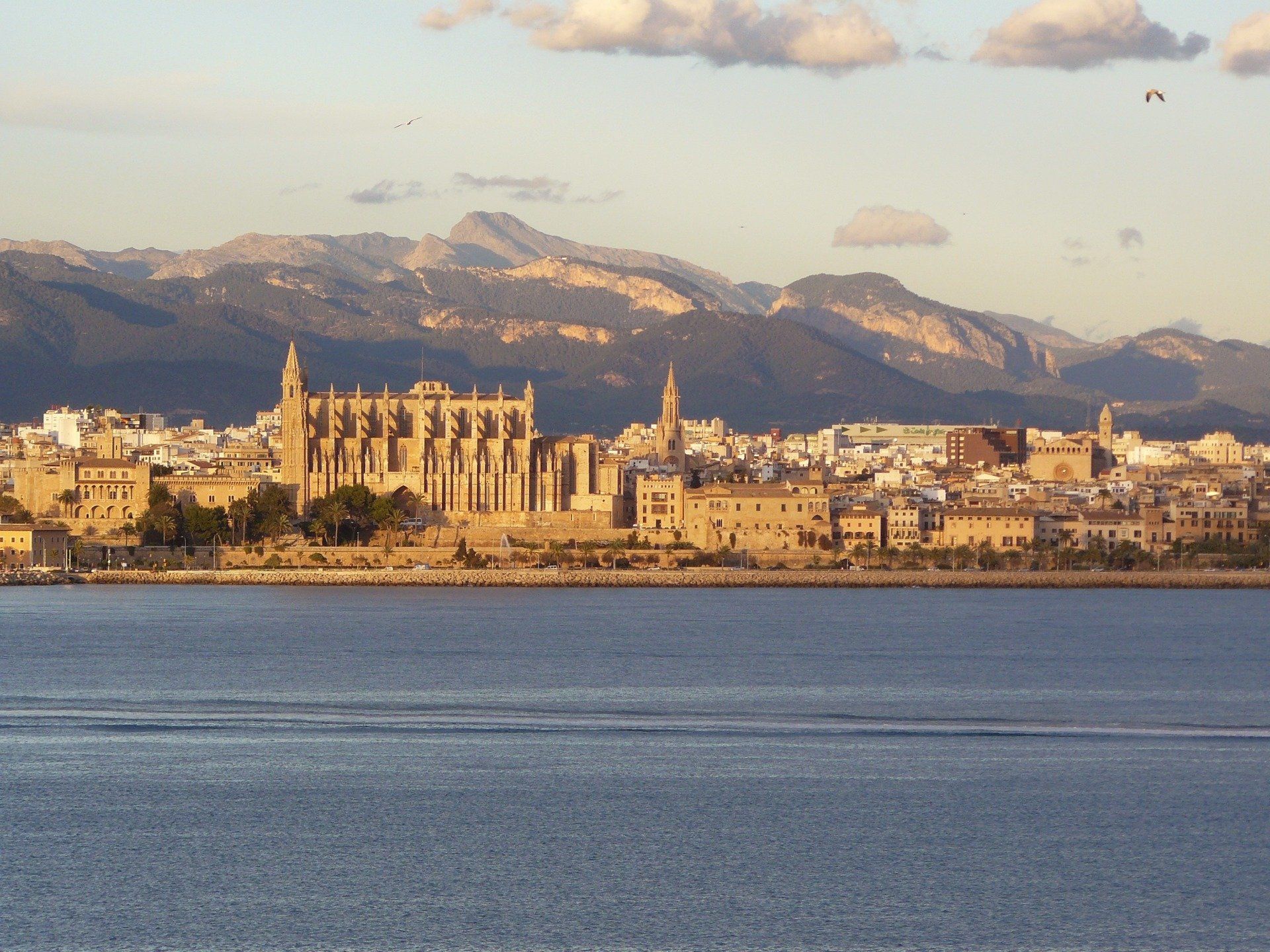 Créateur de Voyages Saveurs et Patrimoine à Palma de Majorque