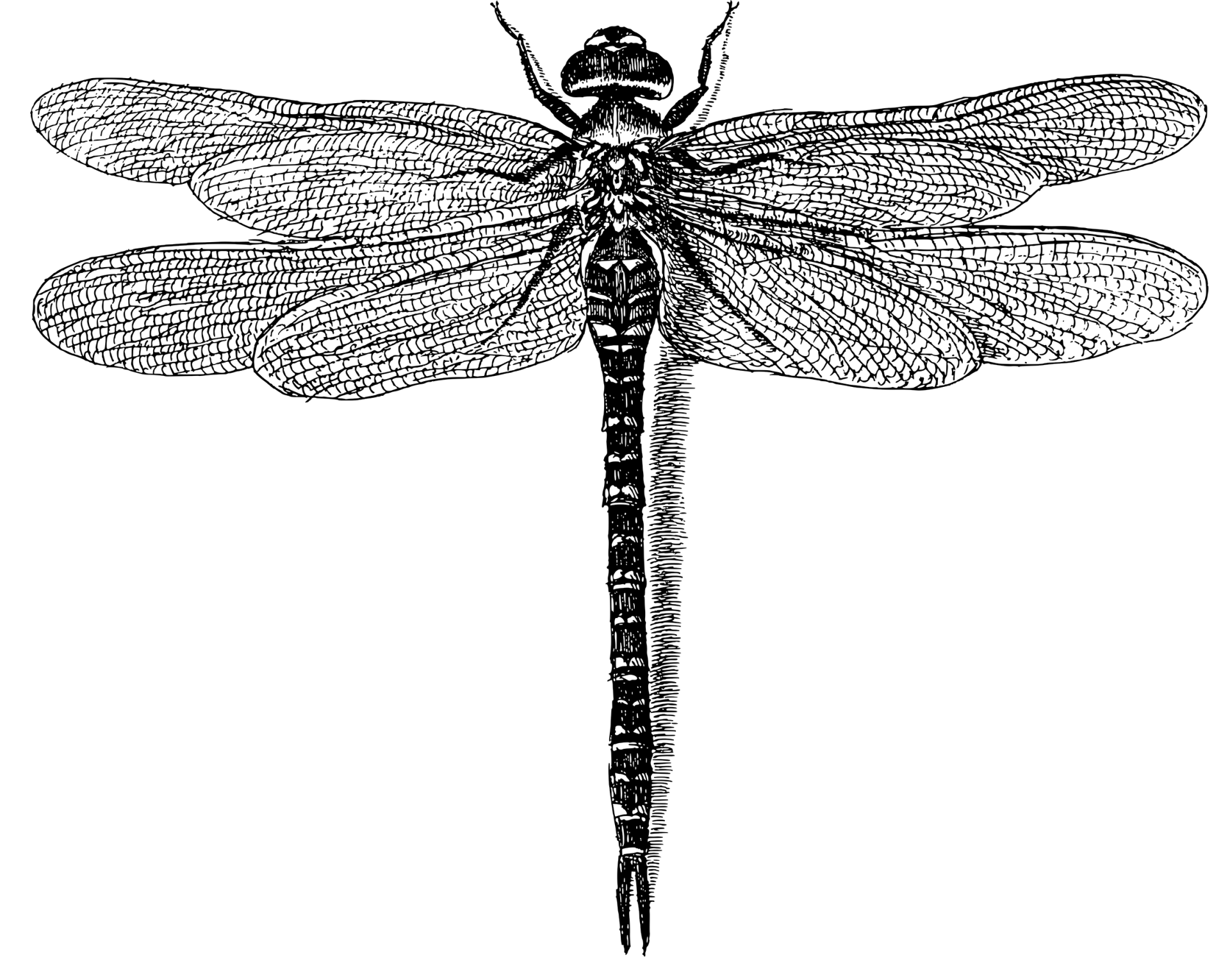 RIKOKO Kommunikation & Medien