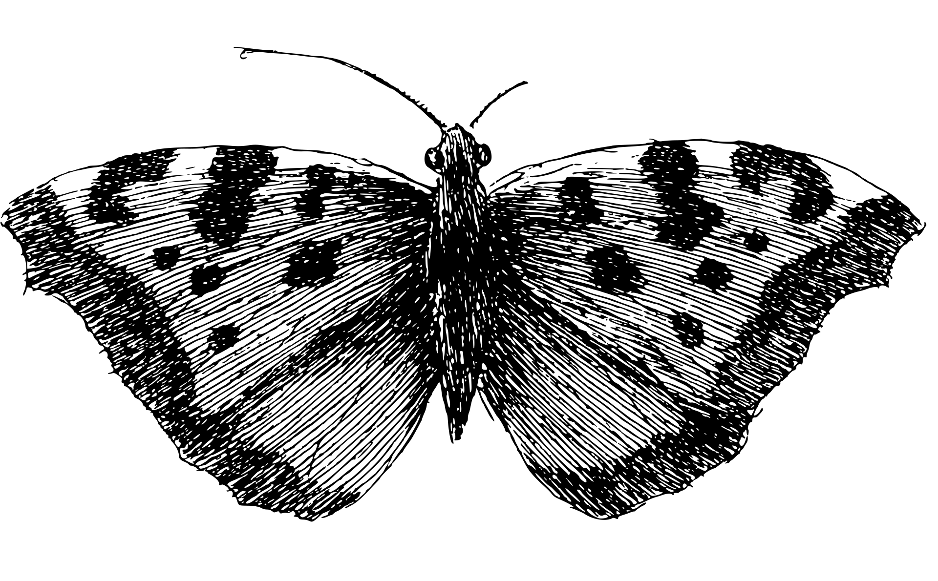 RIKOKO Kommunikation & Medien