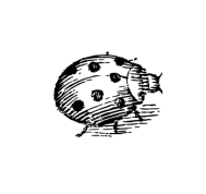 RIKOKO Kommunikation & Medien