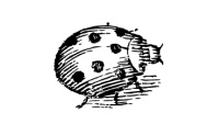 RIKOKO Kommunikation & Medien