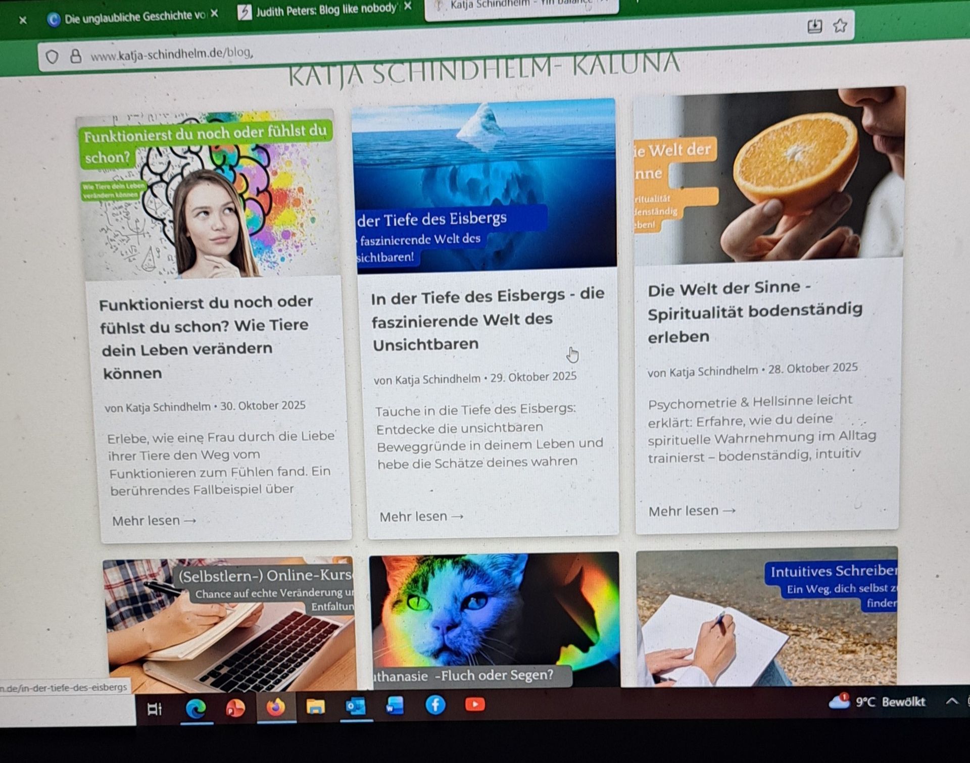 Foto meiner Website mit Blog-Übersicht