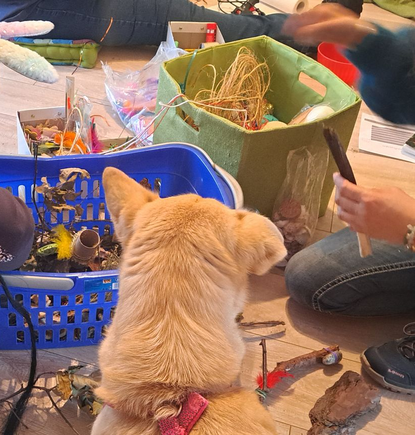 Ein Waldweg im Herbst der in strahlendes Licht führt