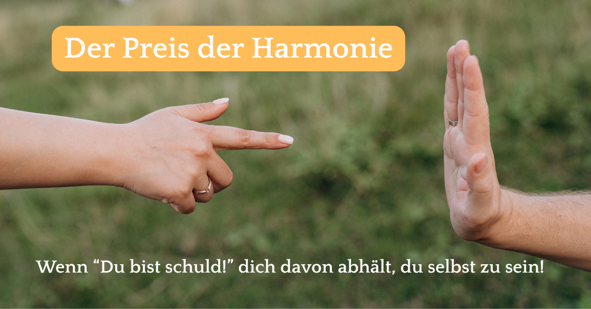 Zwei Hände, wobei eine Hand mit dem Finger auf die andere zeigt, die abwehrend ihr Handfläche hinhält