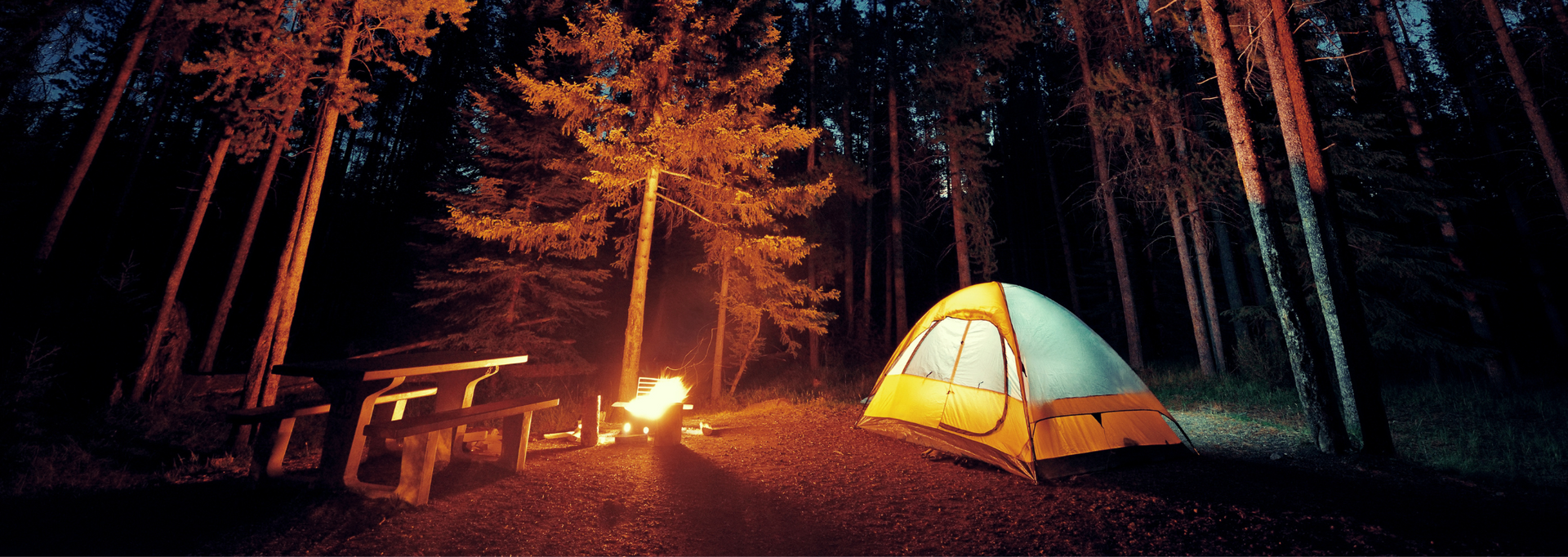 Family taking a selfie next to their vehicle