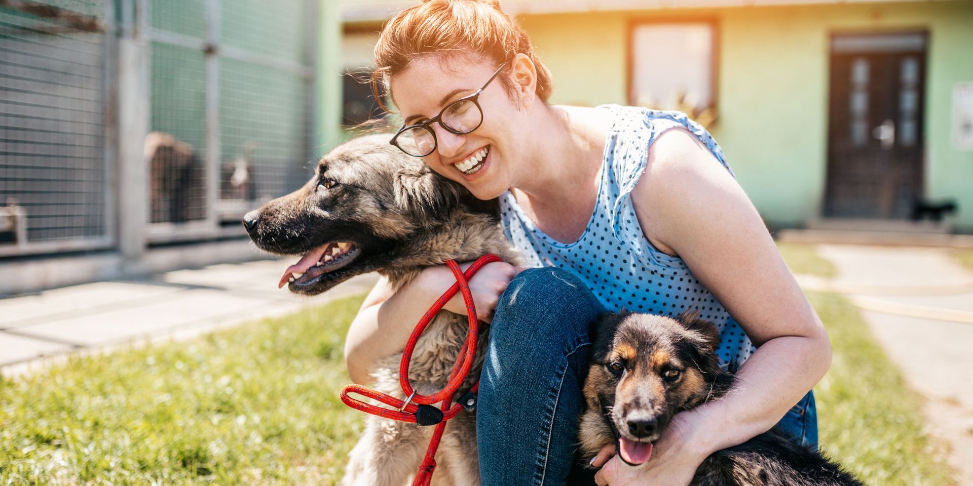 Person with two dogs