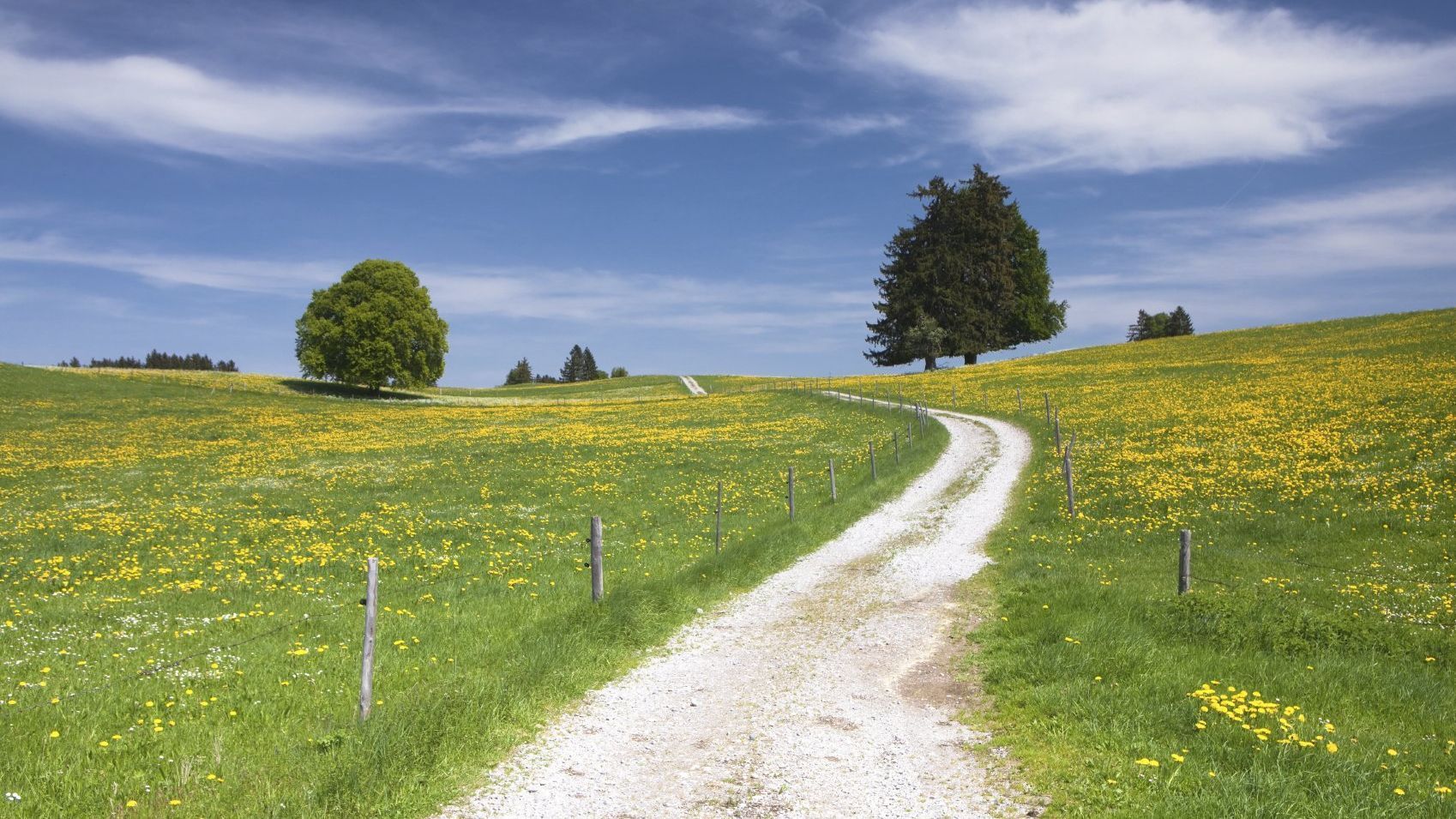 Symbolhaft für die Wegbeschreibung über Google Maps dient das Bild eines Feldweges zwischen Wiesen, der auf den Horizont hinzu führt. Symbolhaft für die Wegbeschreibung über Google Maps dient das Bild eines Feldweges zwischen Wiesen, der auf den Horizont hinzu führt.